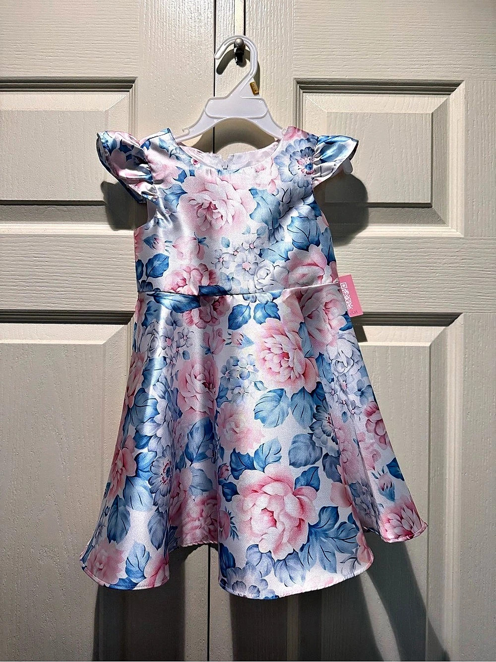 Rare Editions Garden Party Dress Floral Formal Blue & Pink 3T/3